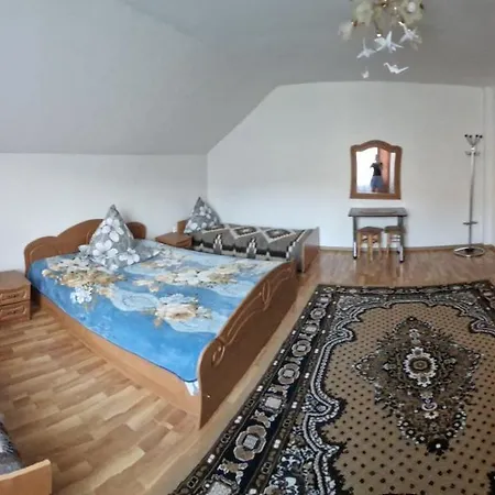 У Дядька Guest House Pilipets Room photo