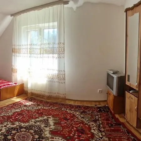 У Дядька Guest House Pilipets Room photo