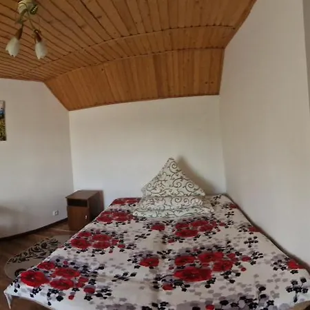 У Дядька Guest House Pilipets Room photo