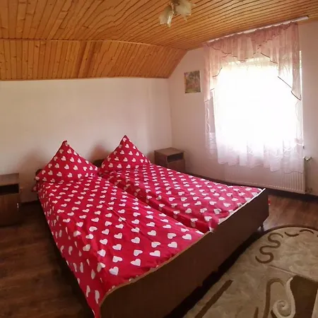 У Дядька Guest House Pilipets Room photo