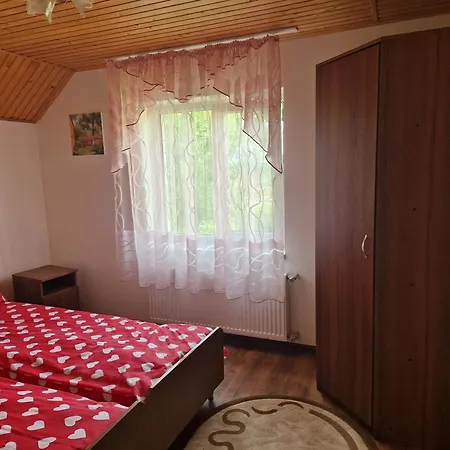 У Дядька Guest House Pilipets Room photo