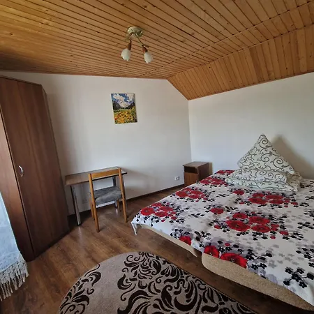 У Дядька Guest House Pilipets Room photo