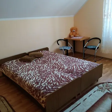 У Дядька Guest House Pilipets Room photo